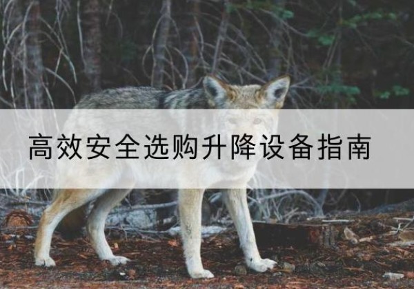 湘桥升降货梯厂家推荐-*安全选购升降设备指南