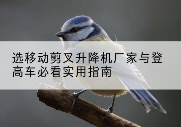 湘桥电动升降机厂家-选移动剪叉升降机厂家与登高车必看实用指南