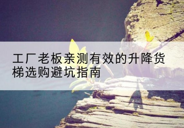 湘桥升降货梯怎么选-工厂老板亲测有效的升降货梯选购避坑指南